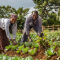 Responsible Christmas gifts that support our planet
